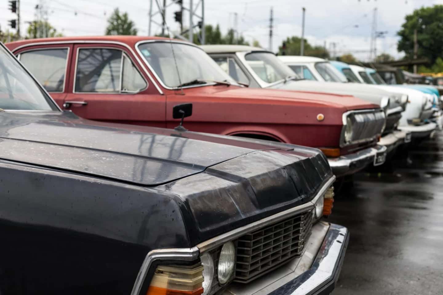 Classic cars lined up at a Victorian country show